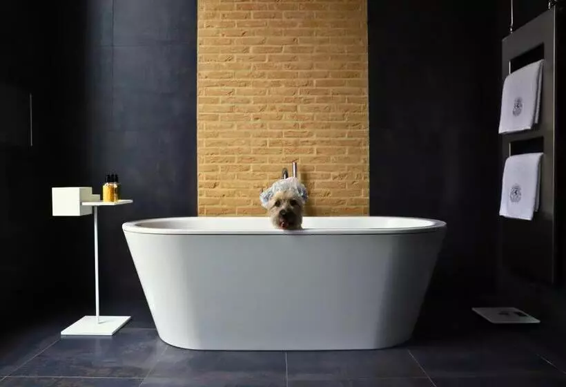 Fotos del hotel Canal House Suites At Sofitel Legend The Grand Amsterdam:  12