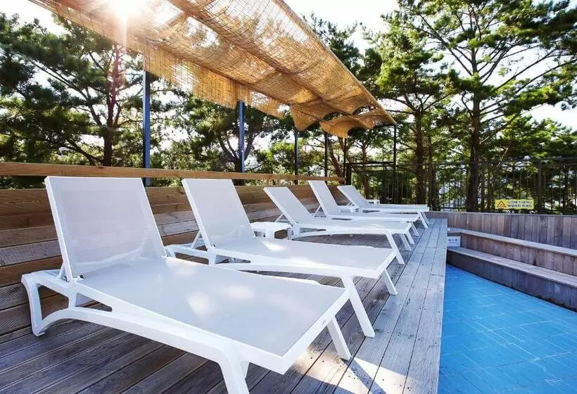 Fotos del hotel Dome  Geoje:  8