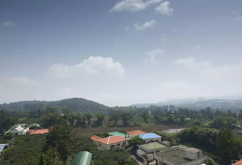 Fotos del hotel Benikea Jungmun:  15