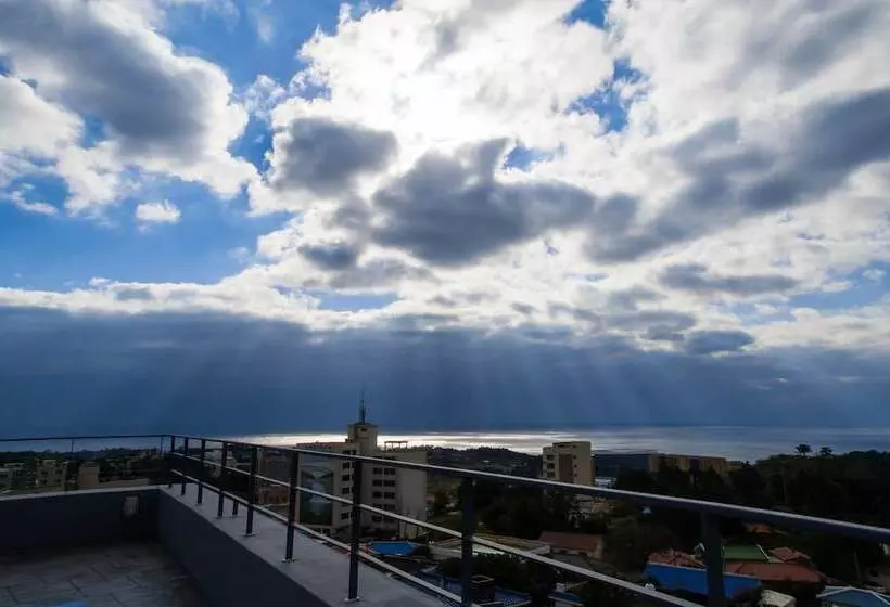 Fotos del hotel Benikea Jungmun:  19