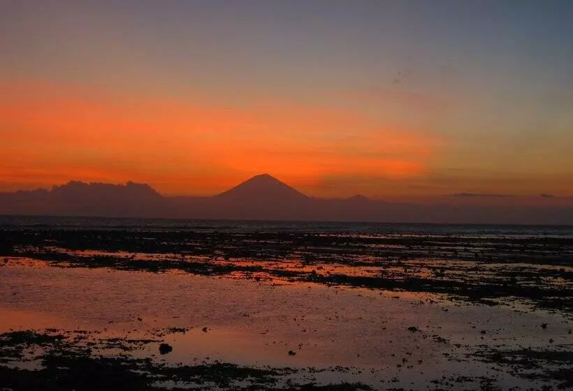 Fotos del hotel Manta Dive Gili Trawangan Resort:  21