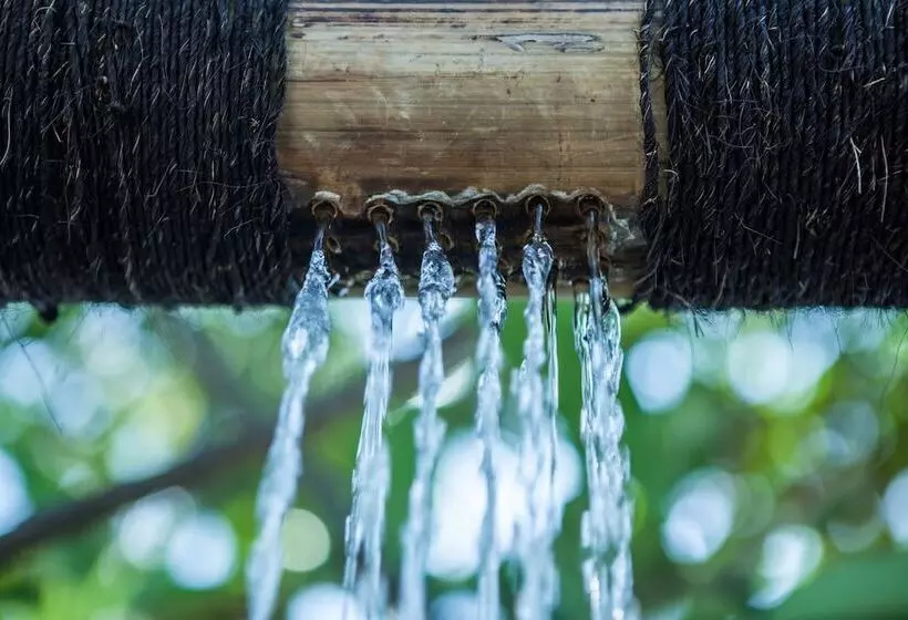 Fotos del hotel Manta Dive Gili Trawangan Resort:  10
