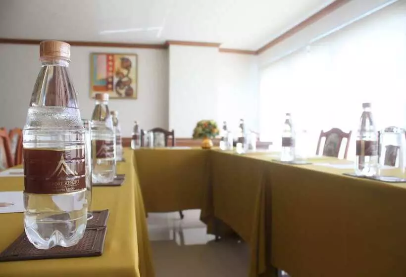 Fotos del hotel Phuket Airport Villa:  15