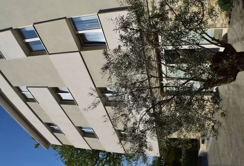 Fotos del hotel Wine  Cesarica:  20