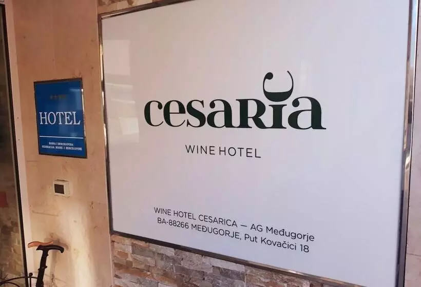 Fotos del hotel Wine  Cesarica:  17