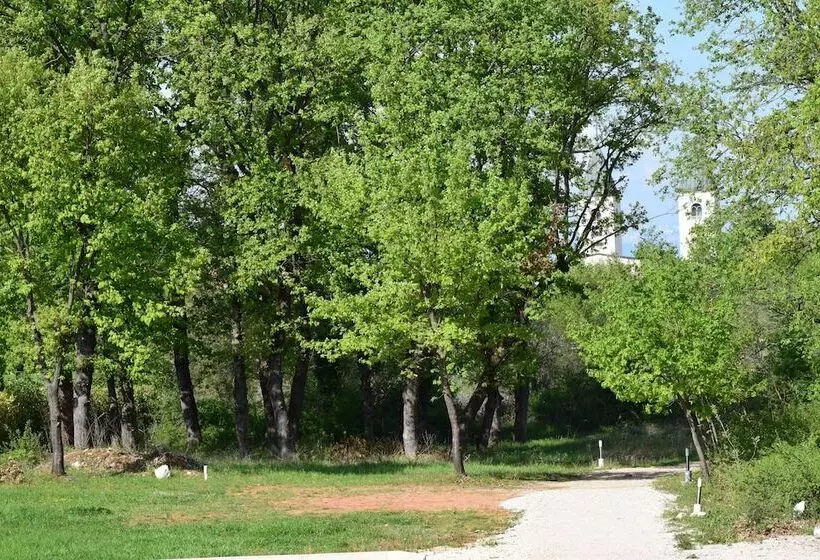 Fotos del hotel Wine  Cesarica:  25