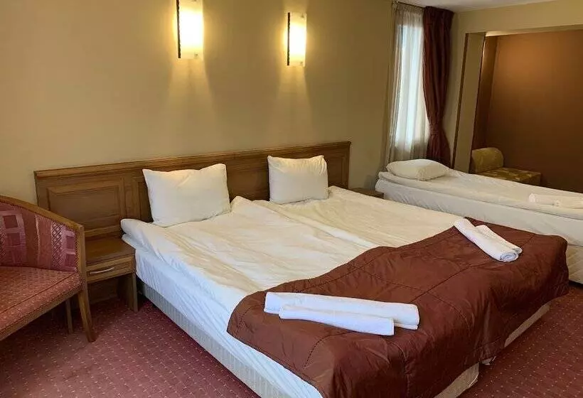 Fotos del hotel Asteri Bansko  Organic Food From Small Local Farms By Asteri S:  11