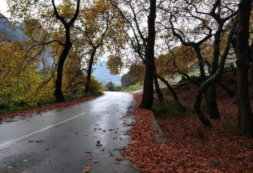 Fotos del hotel Gogos:  6