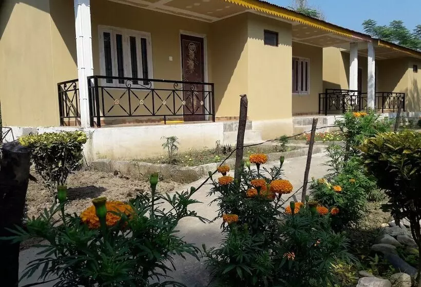 Fotos del hotel Park Inn Chitwan:  22