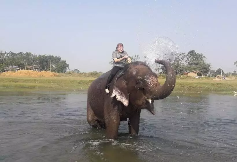 Fotos del hotel Park Inn Chitwan:  5