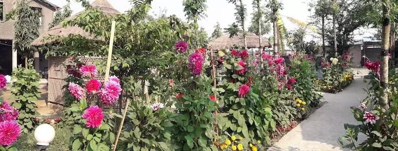 Fotos del hotel Park Inn Chitwan:  10