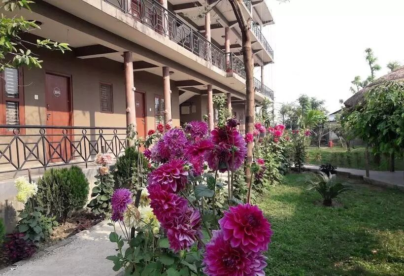 Fotos del hotel Park Inn Chitwan:  8