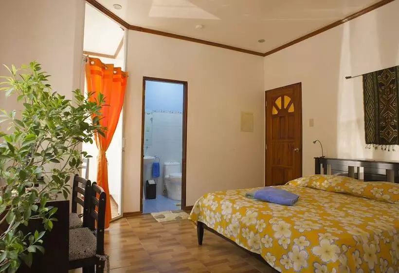 Fotos del hotel Divegurus Boracay Beach Resort:  14