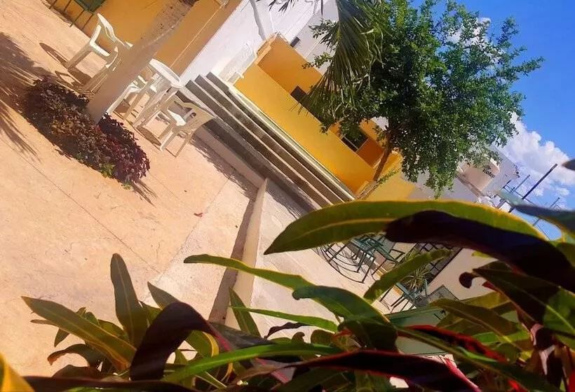 Fotos del hotel El Marques:  7