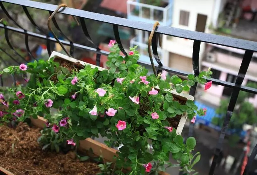 Fotos del hotel Mercury Central  Hanoi:  23