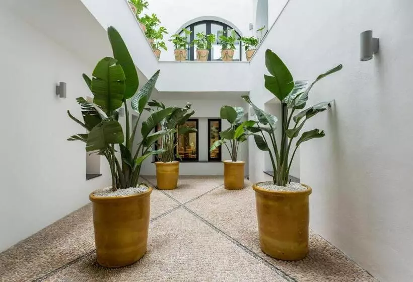 Fotos del hotel Room Mate Valeria:  13