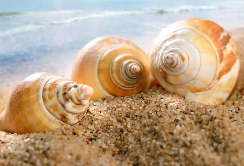 Fotos del hotel The Wings Boutique S:  6