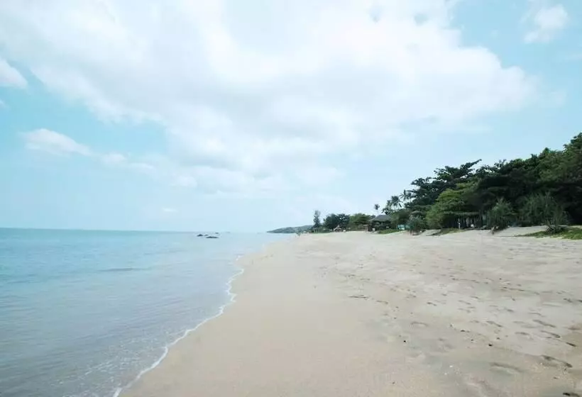 Fotos del hotel The Wings Boutique S:  12