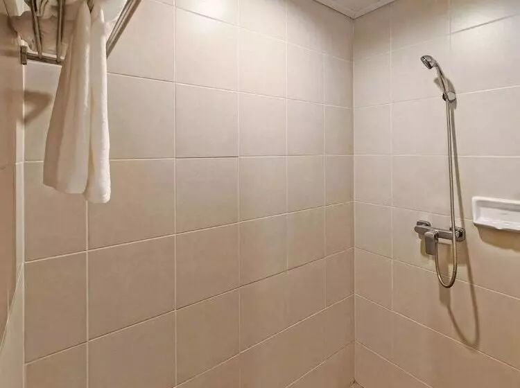 Fotos del hotel Savotel:  5