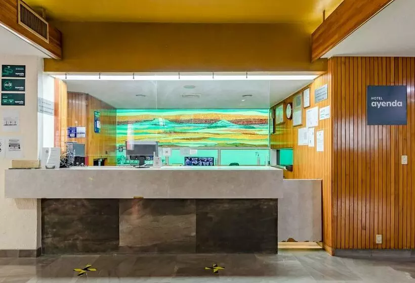 Fotos del hotel Hidalgo:  10