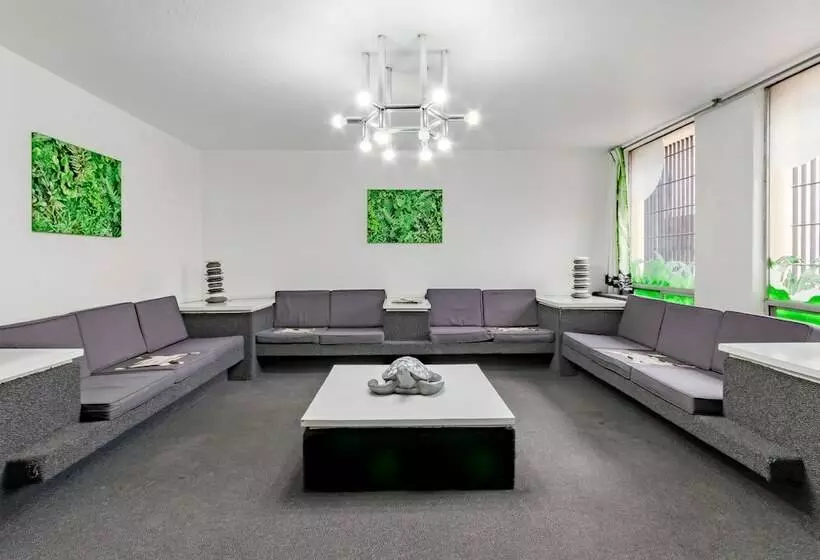 Fotos del hotel Hidalgo:  25