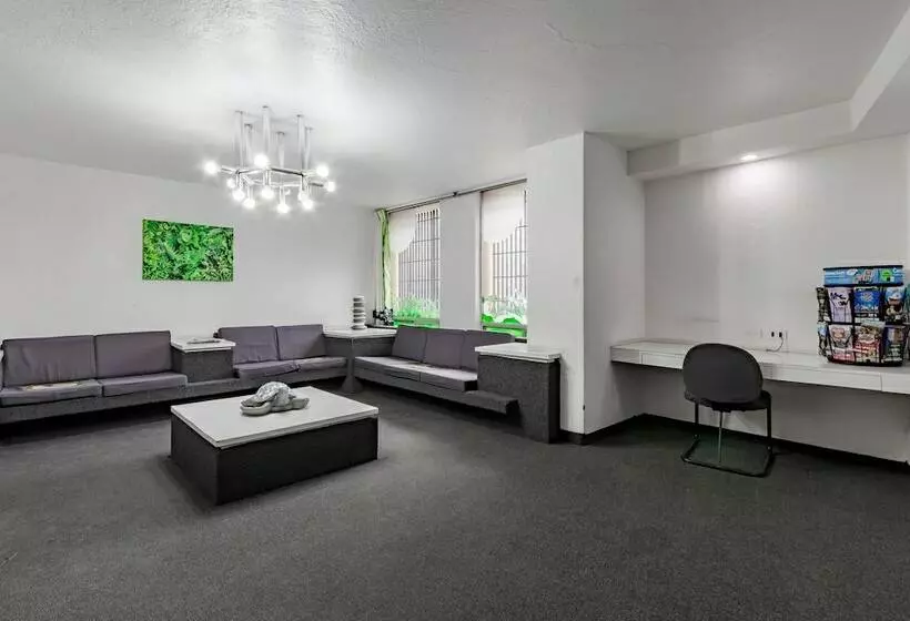 Fotos del hotel Hidalgo:  3