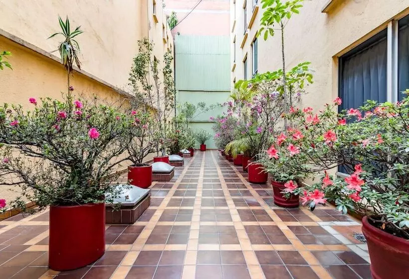 Fotos del hotel Hidalgo:  6