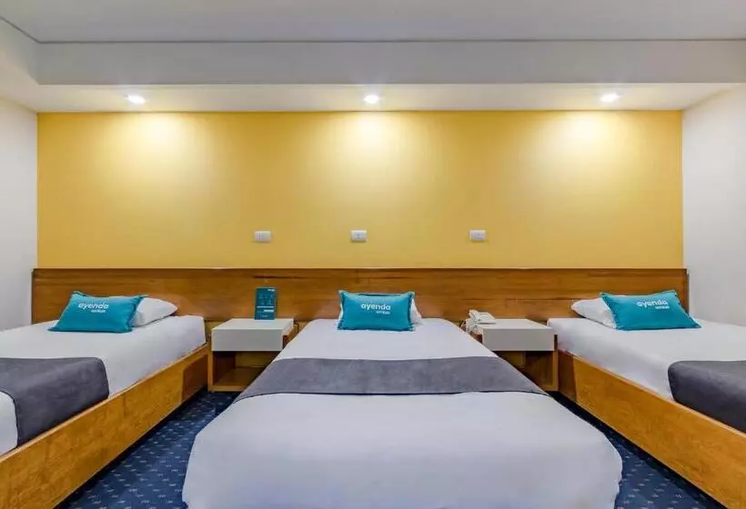 Fotos del hotel Hidalgo:  13