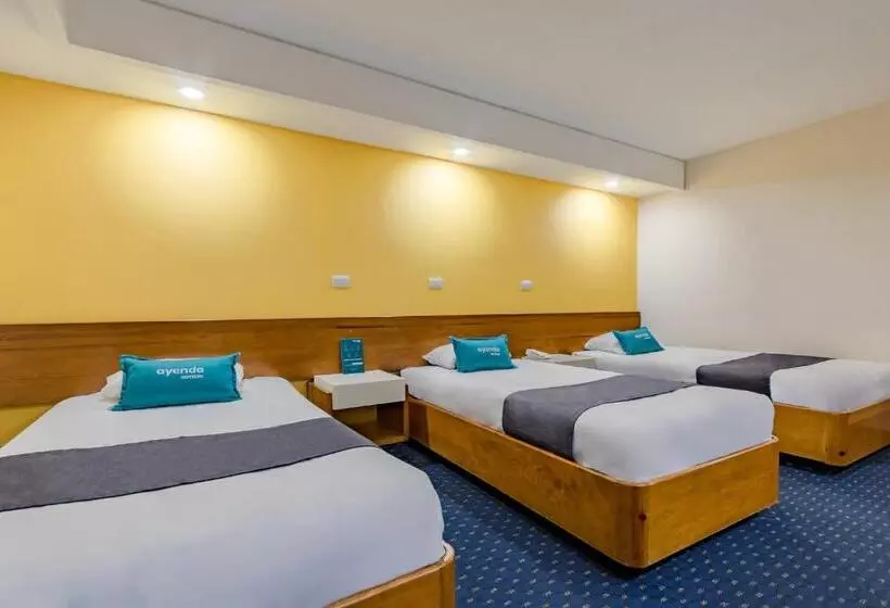 Fotos del hotel Hidalgo:  17