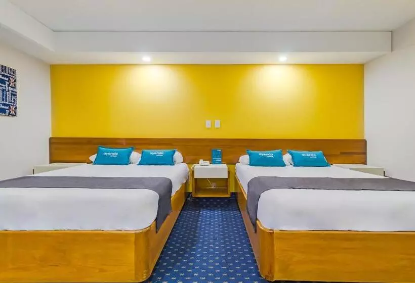 Fotos del hotel Hidalgo:  19