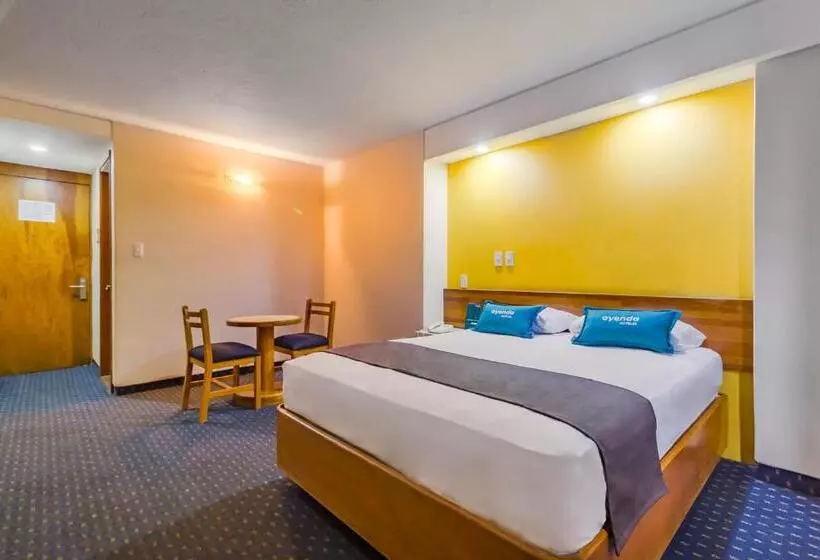 Fotos del hotel Hidalgo:  18