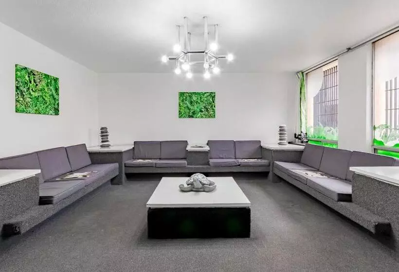 Fotos del hotel Hidalgo:  24