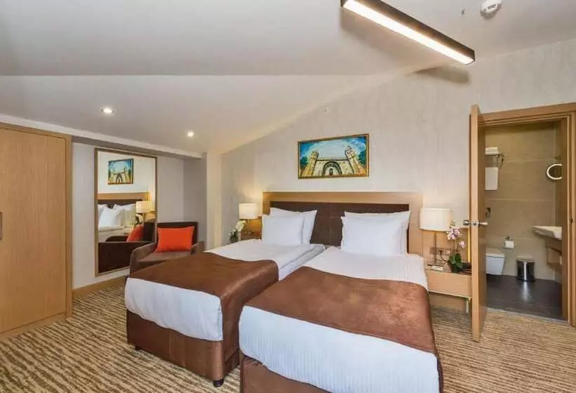 Fotos del hotel Boursier 1 & Spa:  17