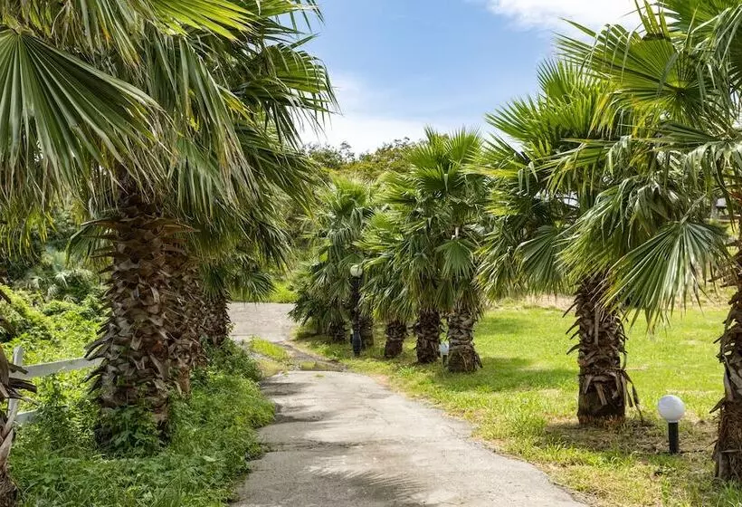 Fotos del hotel Corea Condo Jeju:  13