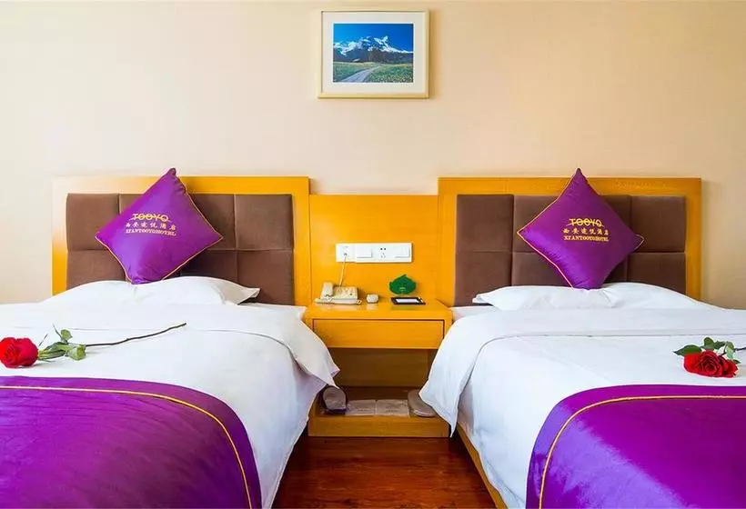 Fotos del hotel Xian Toyoo:  8