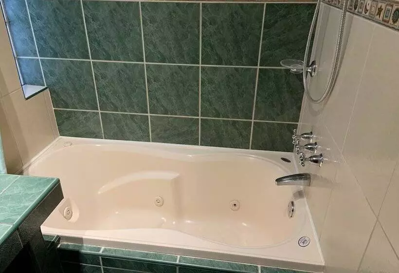 Fotos del hotel Amerindia:  12