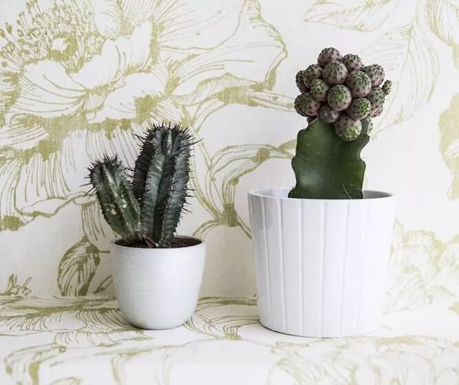 Fotos del hotel Corso Italia Rooms:  5