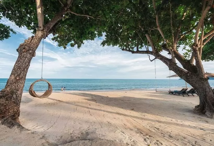 Fotos del hotel King's Garden Resort:  6