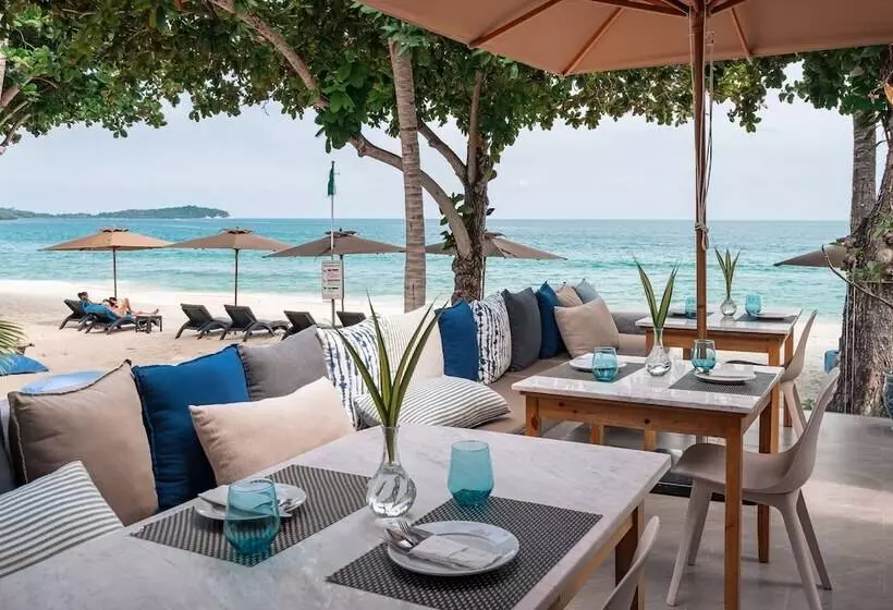 Fotos del hotel King's Garden Resort:  4