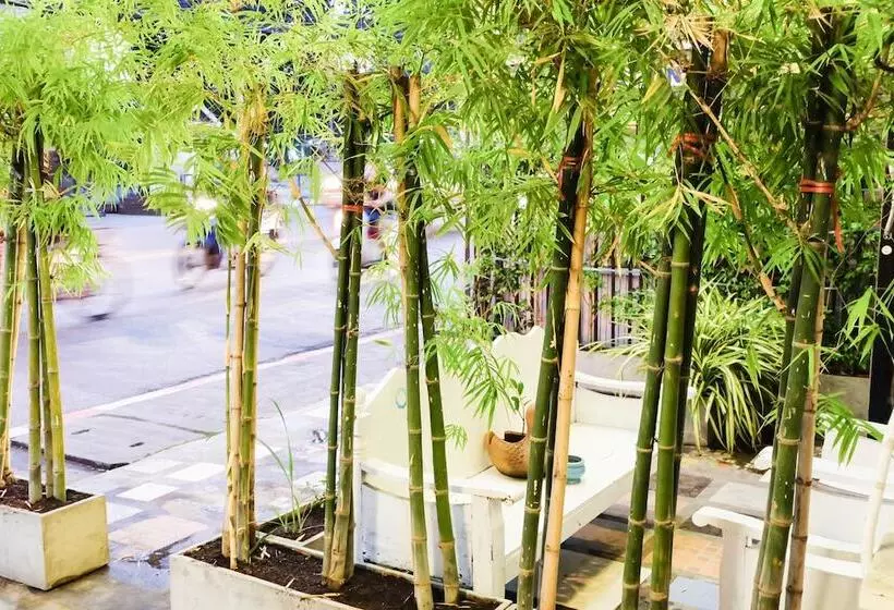 Fotos del hotel Sasima House:  25