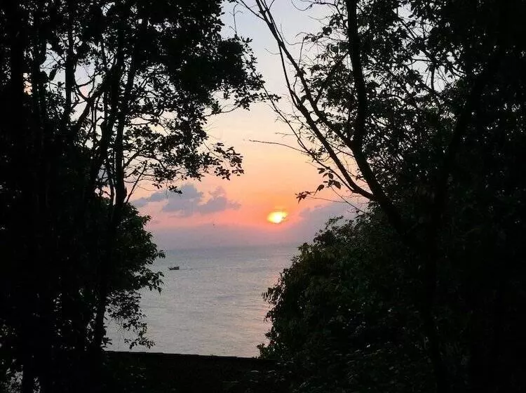 Fotos del hotel Sea Breeze Resort:  4