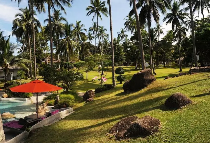 Fotos del hotel The Jungle Club:  22