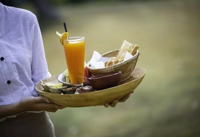 Fotos del hotel The Jungle Club:  23