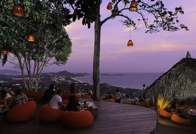 Fotos del hotel The Jungle Club:  24