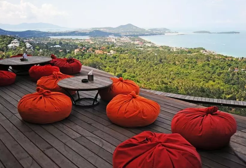 Fotos del hotel The Jungle Club:  16