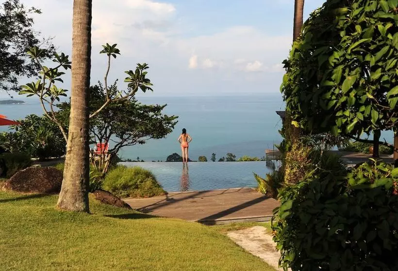 Fotos del hotel The Jungle Club:  7