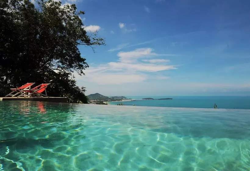 Fotos del hotel The Jungle Club:  18