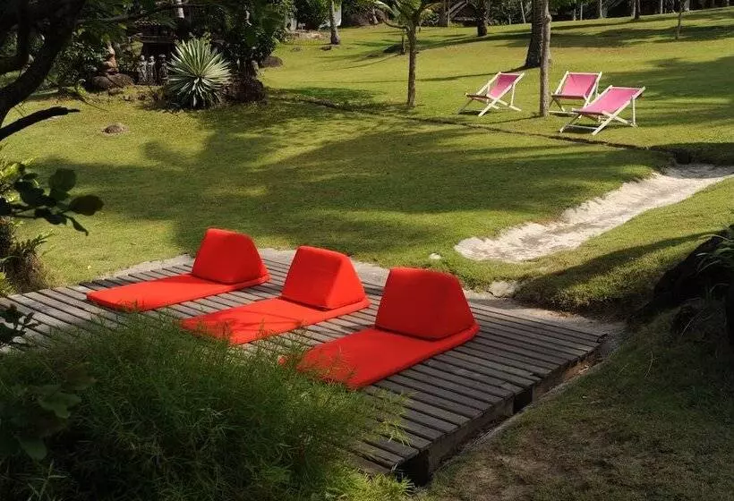 Fotos del hotel The Jungle Club:  11