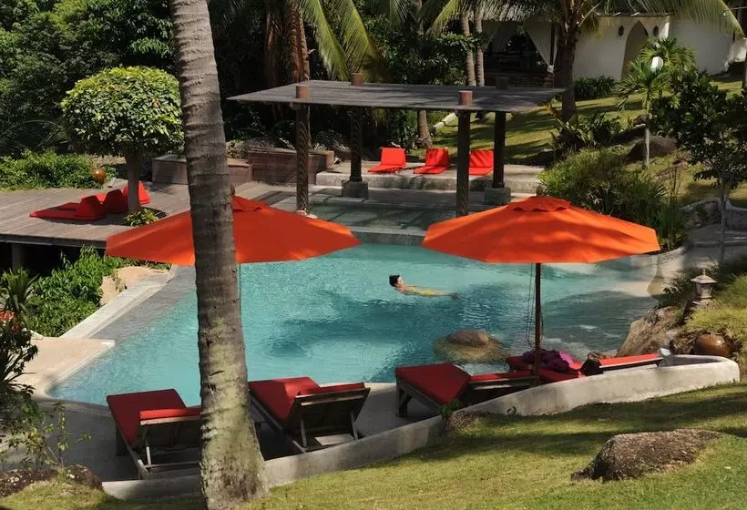 Fotos del hotel The Jungle Club:  10