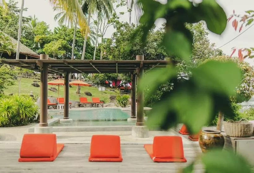 Fotos del hotel The Jungle Club:  4